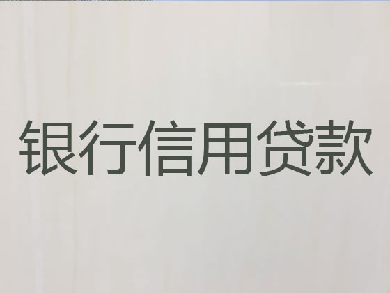 池州抵押贷款公司-银行信用贷款